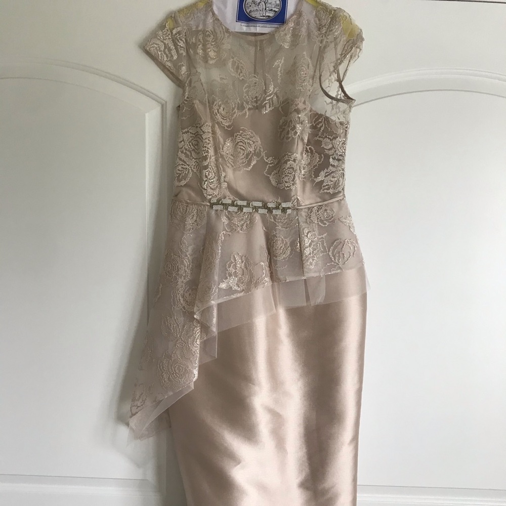Teri Jon peplum style gown